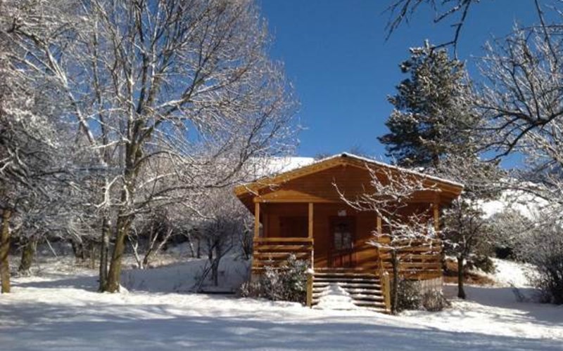 Les Cariamas Location Les Cariamas à CHATEAUROUX LES ALPES