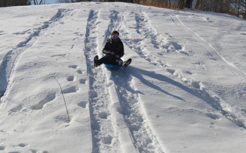 Les Cariamas Location Les Cariamas à CHATEAUROUX LES ALPES