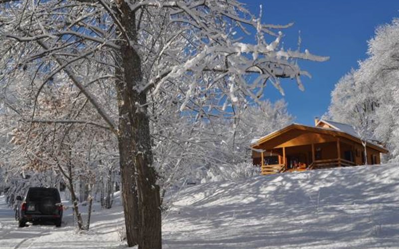 Les Cariamas Location Les Cariamas à CHATEAUROUX LES ALPES