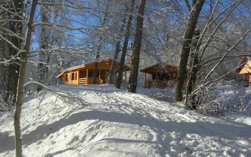 Les Cariamas Location Les Cariamas à CHATEAUROUX LES ALPES