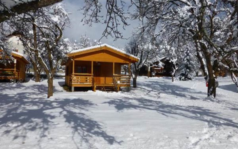 Les Cariamas Location Les Cariamas à CHATEAUROUX LES ALPES