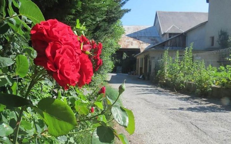 Location CAMPING LA TOUR à EMBRUN