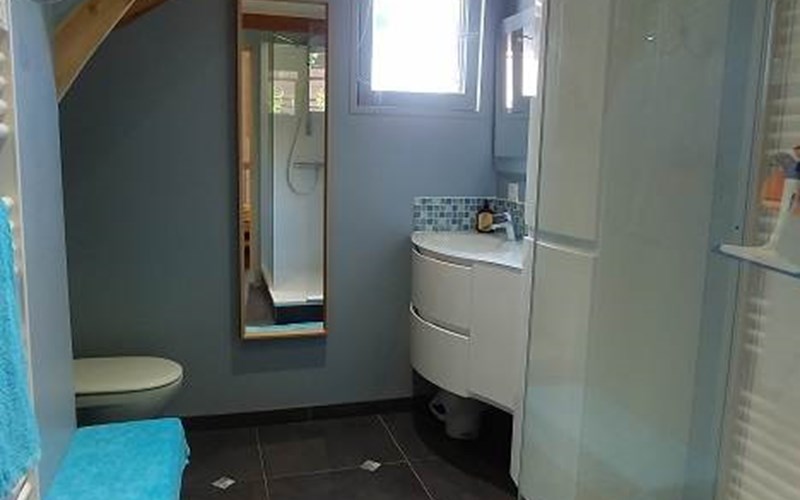 Chalet Saint-Ferréol  Location Chalet Saint-Ferréol  à SAVINES LE LAC