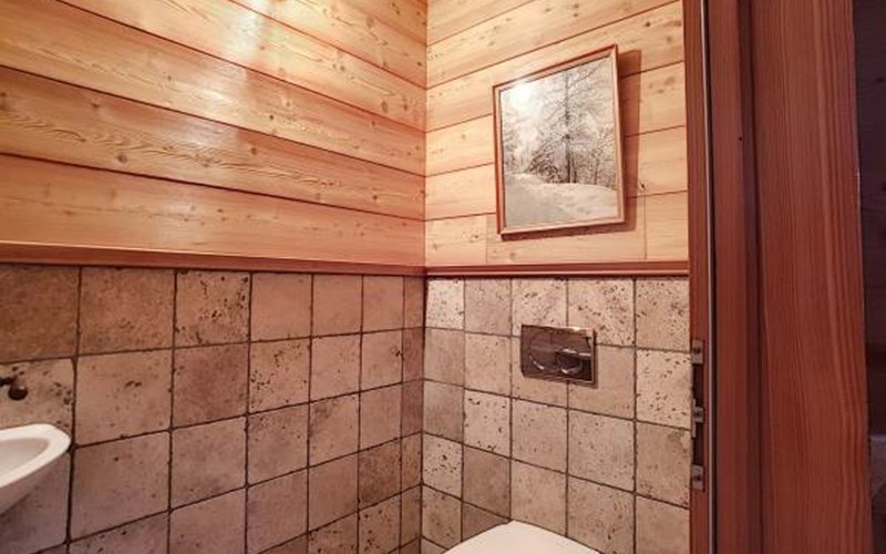 APPA LUPINS Location APPA LUPINS à PUY ST VINCENT