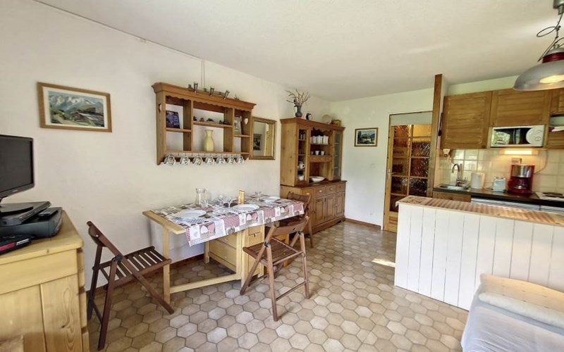 APPA ANEMONES 10 Location APPA ANEMONES 10 à VALLOUISE