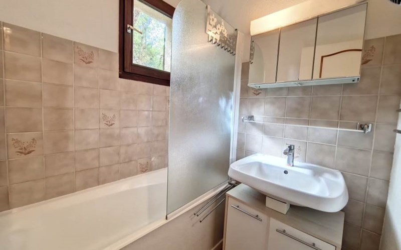 APPA ANEMONES 10 Location APPA ANEMONES 10 à VALLOUISE