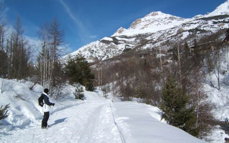 APPA PALATIN B35 Location APPA PALATIN B35 à PELVOUX