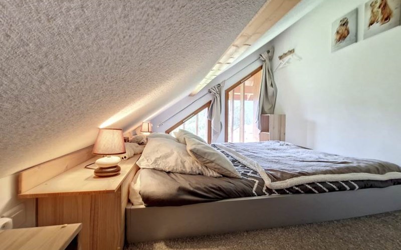 APPA CHAMBONNETTEB22 Location APPA CHAMBONNETTEB22 à VALLOUISE