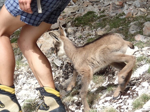 Saint-Maurice-en-Valgodemard