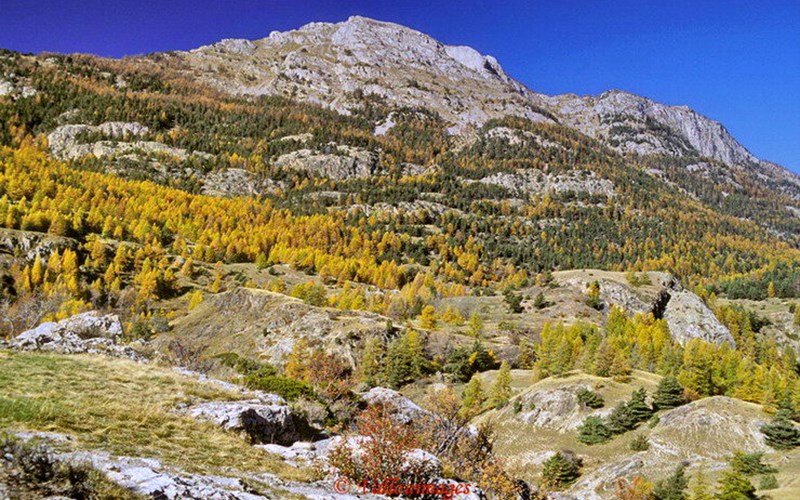 Randonnée Sportive : Mon 1er 3000m ! Location Randonnée Sportive : Mon 1er 3000m ! à Vallouise