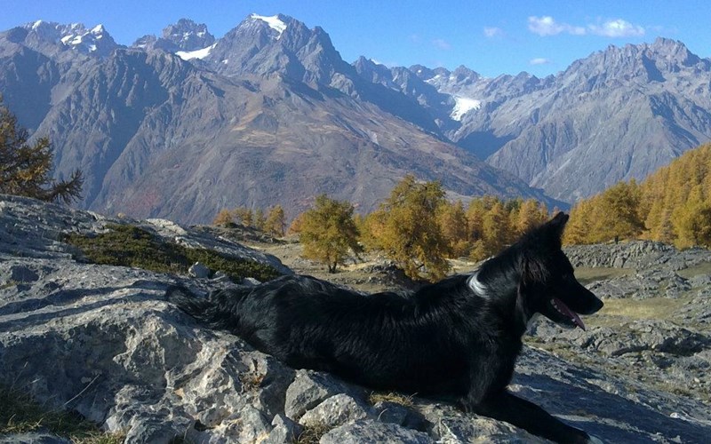 Randonnée Sportive : Mon 1er 3000m ! Location Randonnée Sportive : Mon 1er 3000m ! à Vallouise