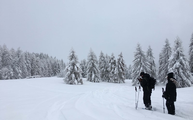 Traces douces Location Traces douces à Puy-Saint-Vincent