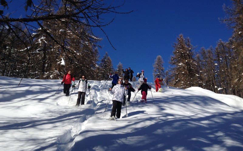 90 % descente Location 90 % descente à Puy-Saint-Vincent