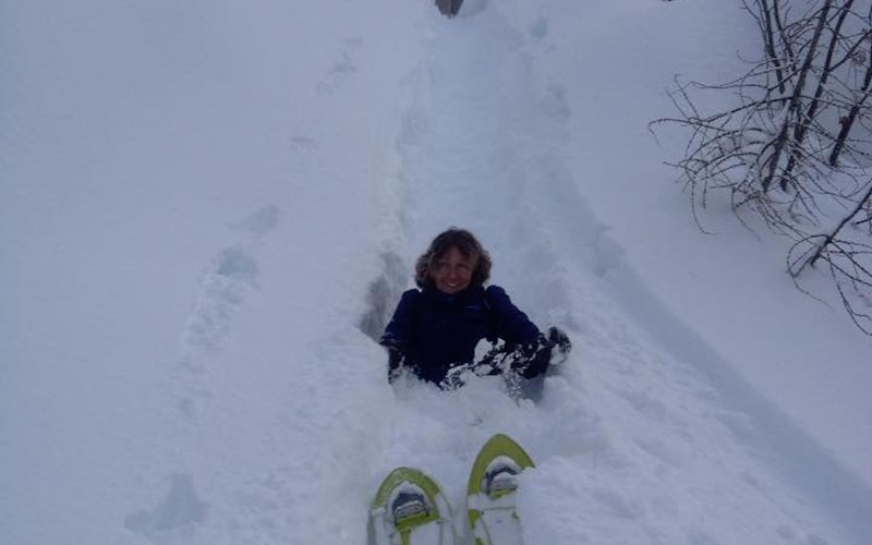 La source des mondes Location La source des mondes à Puy-Saint-Vincent