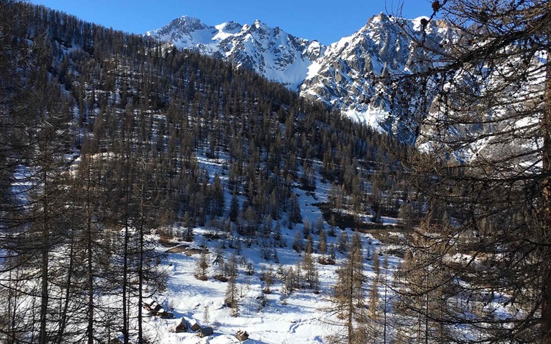 La source des mondes Location La source des mondes à Puy-Saint-Vincent