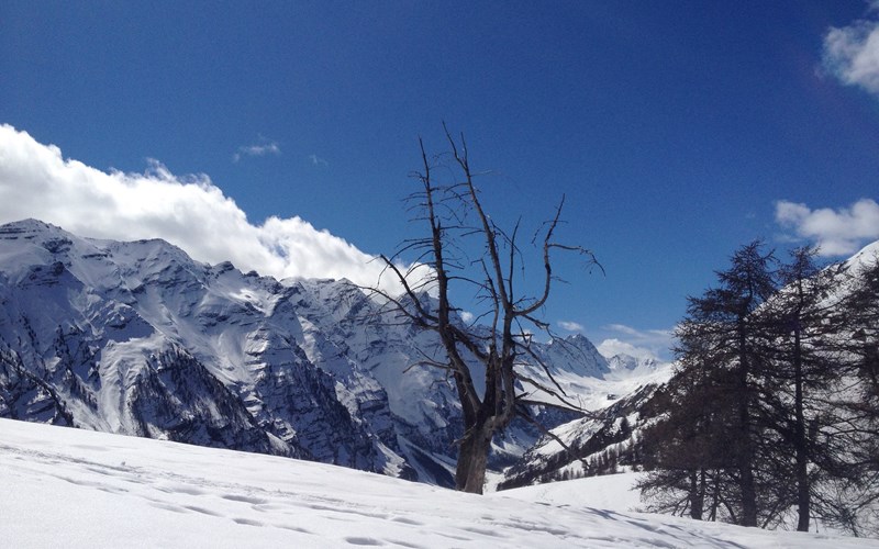 La tête et le plateau d'Oréac Location La tête et le plateau d'Oréac à Puy-Saint-Vincent