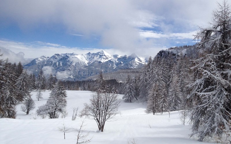 Les grands alpages de la cabane du Laus Location Les grands alpages de la cabane du Laus à Puy-Saint-Vincent