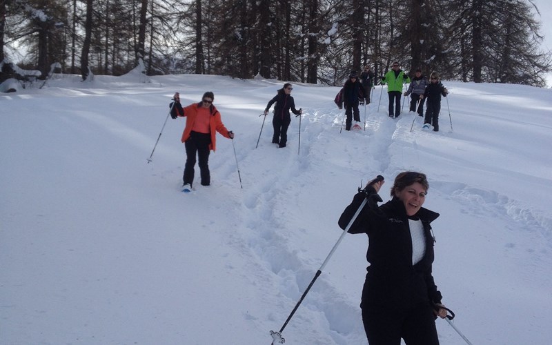 Les grands alpages de la cabane du Laus Location Les grands alpages de la cabane du Laus à Puy-Saint-Vincent