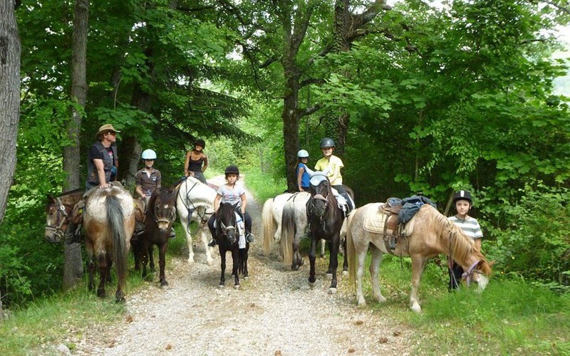 Location Promenade à cheval ou poney 1H à Sisteron