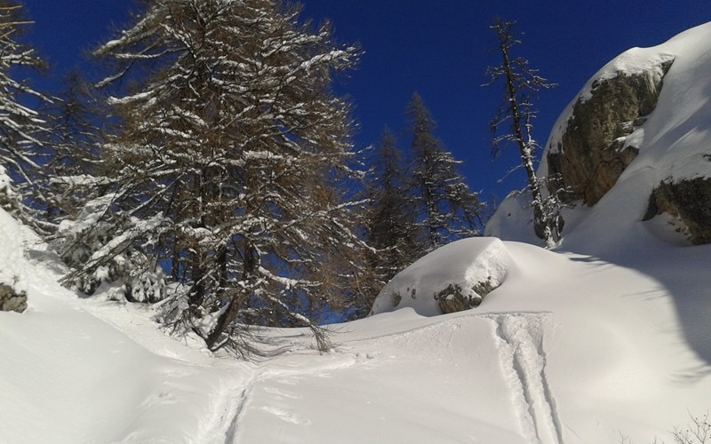 Une Journée Raquette : reconnexion avec la Nature Location Une Journée Raquette : reconnexion avec la Nature à Puy-Saint-Vincent